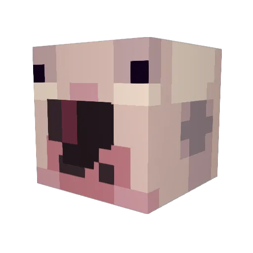 SaltySouls Minecraft avatar head, 3D render