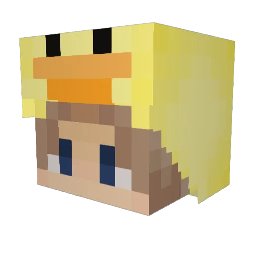 SaltySquid10 Minecraft avatar head, 3D render