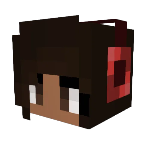 SaltySushi1 Minecraft avatar head, 3D render