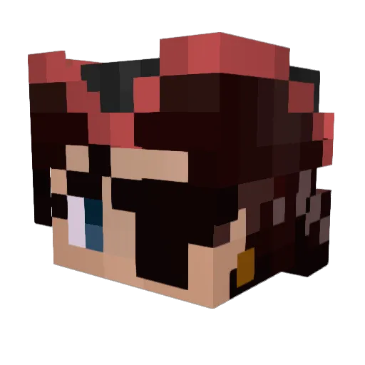 SaltySyst3m_QC Minecraft avatar head, 3D render
