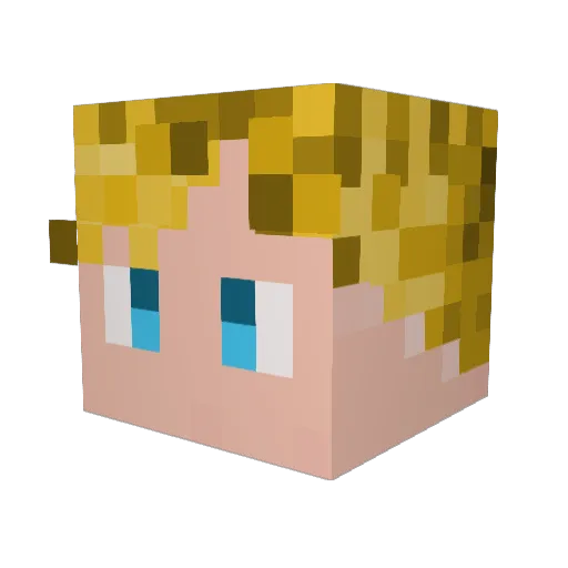 SaltyWalross Minecraft avatar head, 3D render