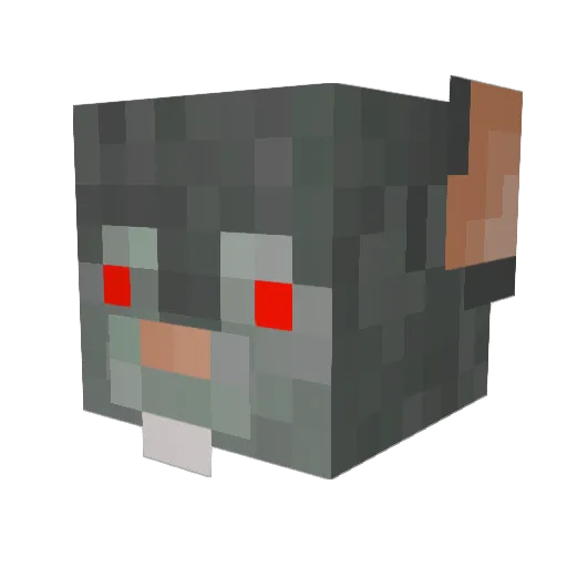 SaltyWeetbix Minecraft avatar head, 3D render