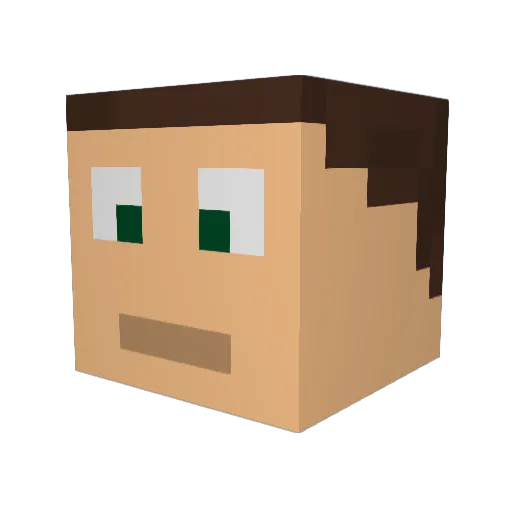 SaltyWest Minecraft avatar head, 3D render