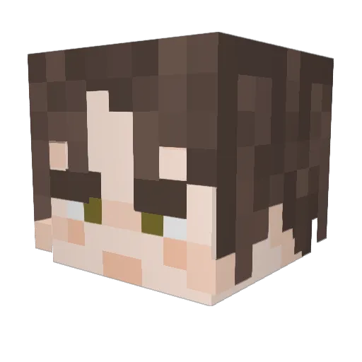 SaltyZezi Minecraft avatar head, 3D render