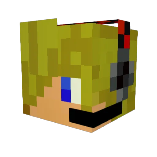 Salty_Blizzard Minecraft avatar head, 3D render