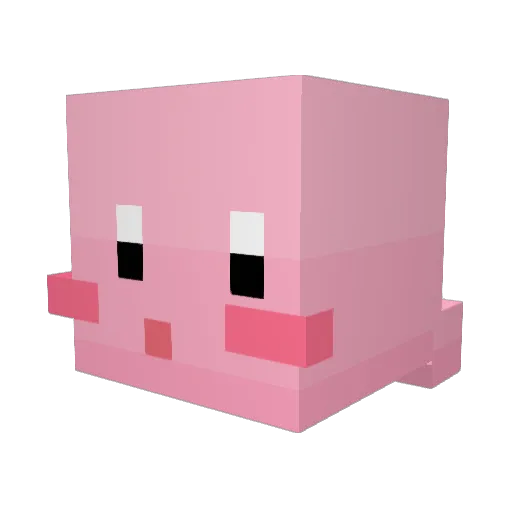 Salty_Cookies Minecraft avatar head, 3D render