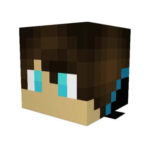 Salty_Shawn Minecraft avatar head, 3D render