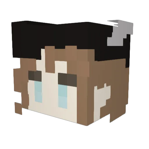 Salty_Soap Minecraft avatar head, 3D render