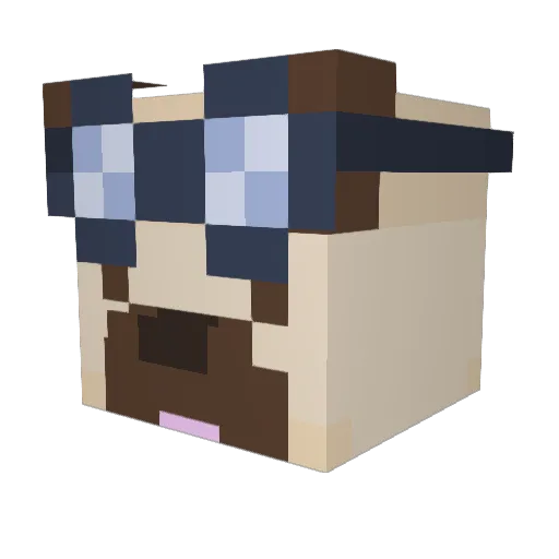 Salty_Tot Minecraft avatar head, 3D render