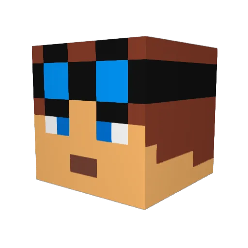 Salty_Trashbag Minecraft avatar head, 3D render