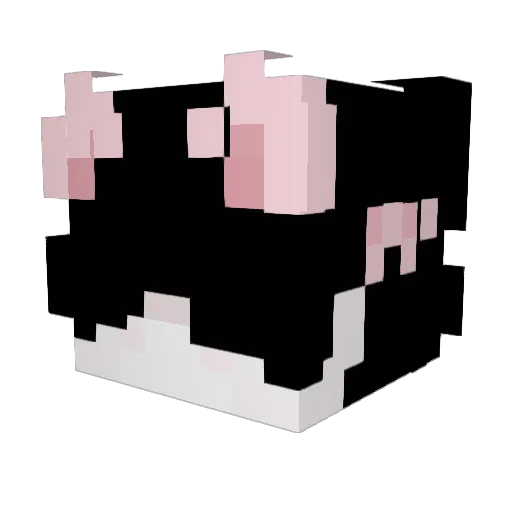 Salty__penguin Minecraft avatar head, 3D render