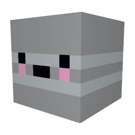 Saltyboii97 Minecraft avatar head, 3D render