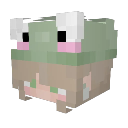 Saltycheeeese Minecraft avatar head, 3D render