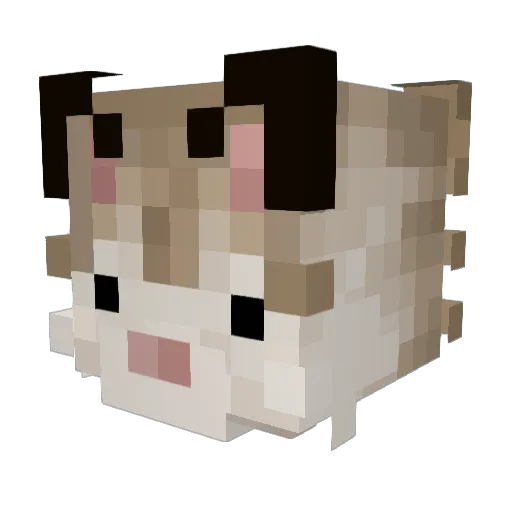 Saltydoesstuff Minecraft avatar head, 3D render