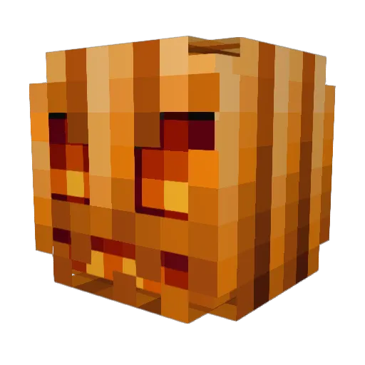 Saltydog_ Minecraft avatar head, 3D render