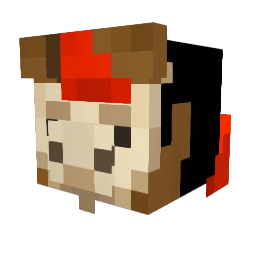 Saltyllama21 Minecraft avatar head, 3D render