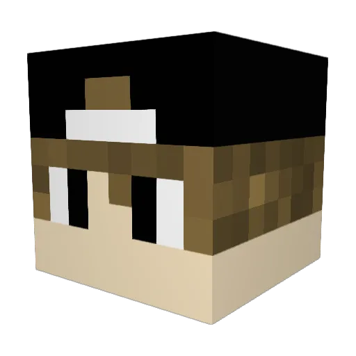 Saltymeats Minecraft avatar head, 3D render