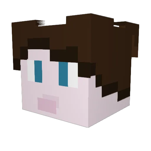 Saltysamuel6697 Minecraft avatar head, 3D render