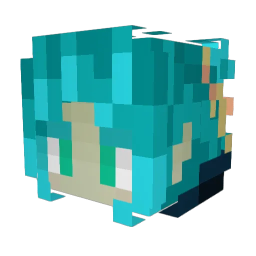 Salucemoa Minecraft avatar head, 3D render