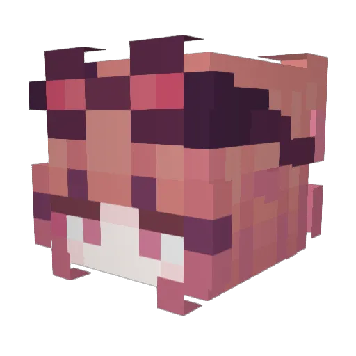 SalutLune Minecraft avatar head, 3D render