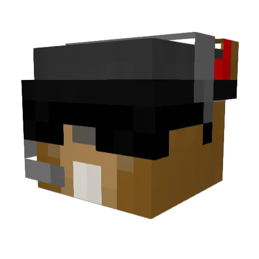 SalutarySquirrel Minecraft avatar head, 3D render