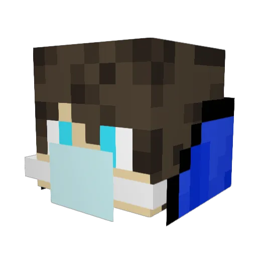 Salva1604 Minecraft avatar head, 3D render