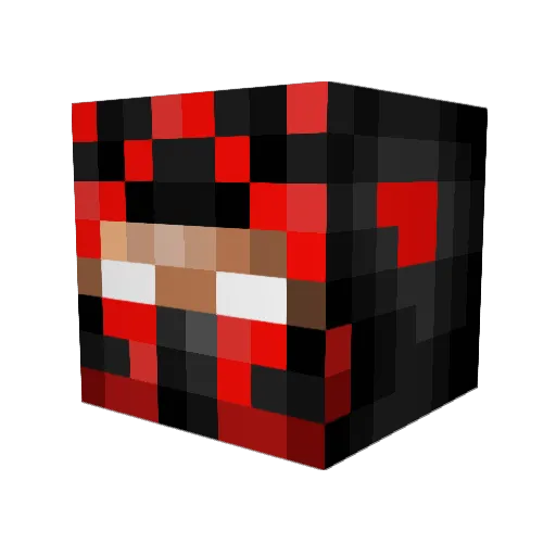 Salva567 Minecraft avatar head, 3D render