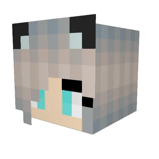 Salva_Raven Minecraft avatar head, 3D render