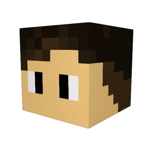 Salvao Minecraft avatar head, 3D render