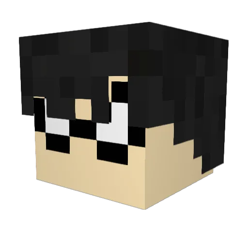 Salvationforce Minecraft avatar head, 3D render