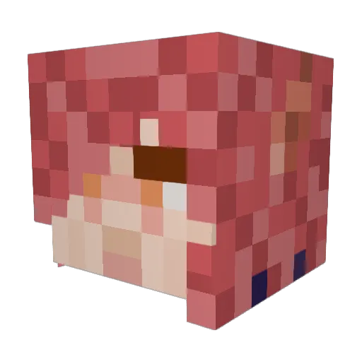Salvatore2709 Minecraft avatar head, 3D render