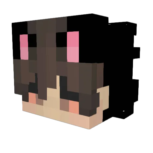 Salvinorum Minecraft avatar head, 3D render