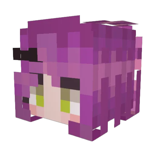 SalvisEats Minecraft avatar head, 3D render