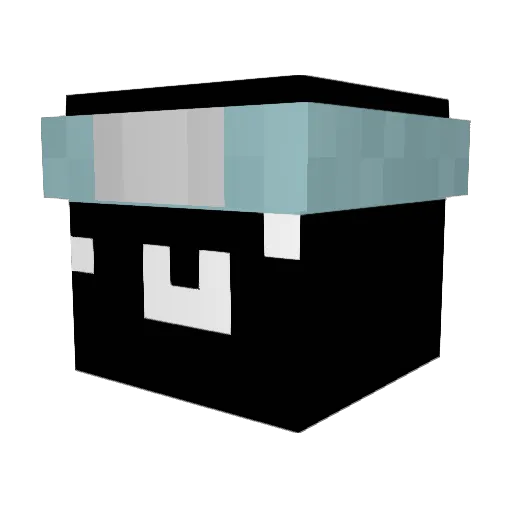 SalvoGamer22 Minecraft avatar head, 3D render