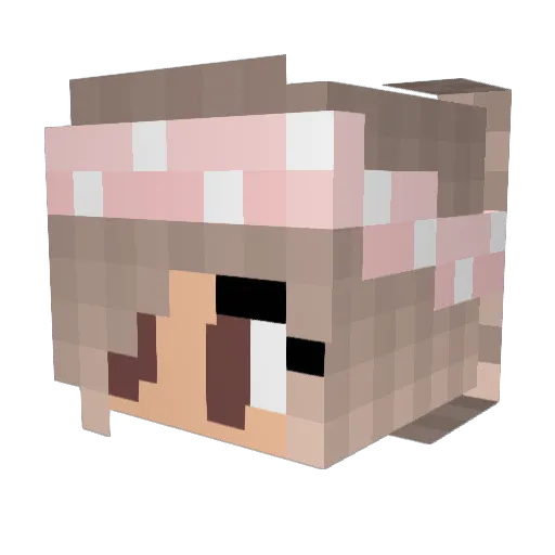 Salwa26 Minecraft avatar head, 3D render