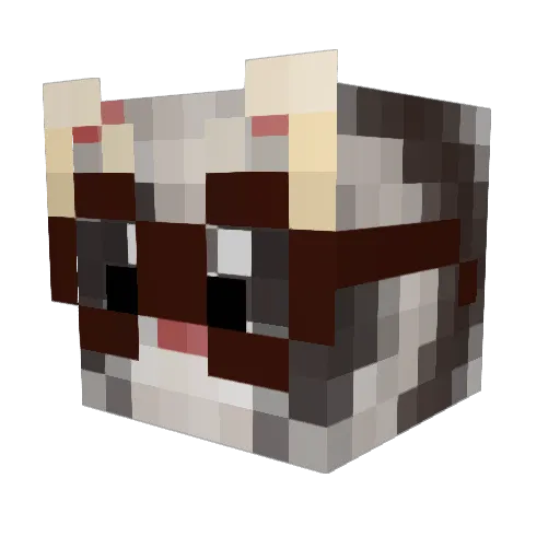 Salya10 Minecraft avatar head, 3D render