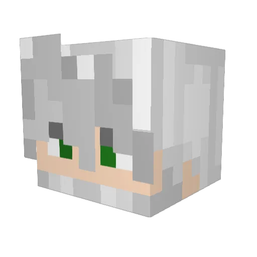 Salyjo Minecraft avatar head, 3D render
