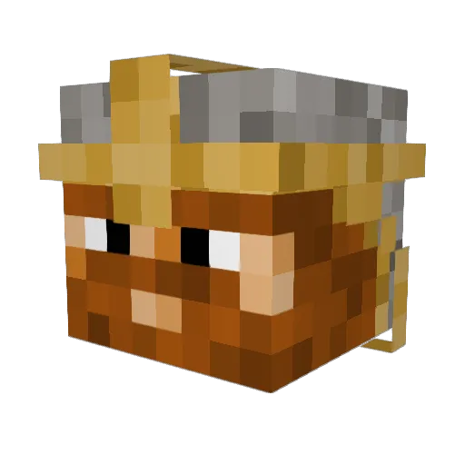 SalzMann1 Minecraft avatar head, 3D render