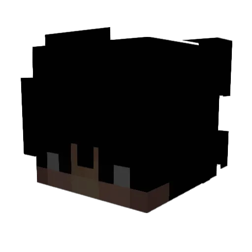 Salziges_Brot Minecraft avatar head, 3D render