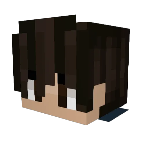 Sam0066 Minecraft avatar head, 3D render