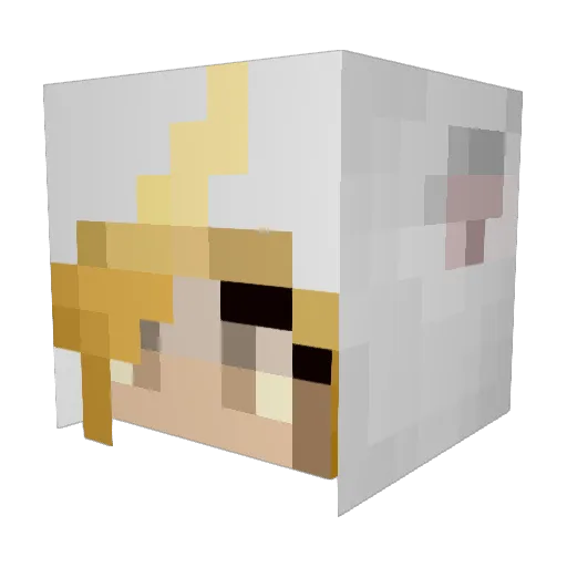 Sam00C Minecraft avatar head, 3D render