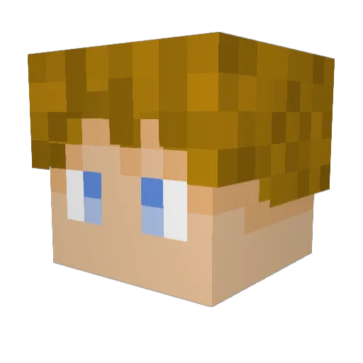 Sam059 Minecraft avatar head, 3D render