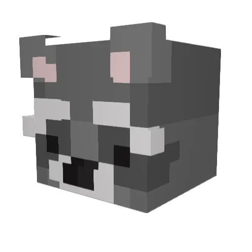 Sam0876 Minecraft avatar head, 3D render