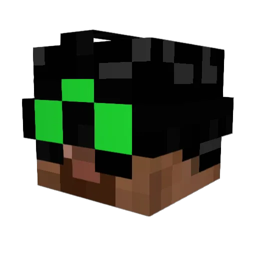 Sam0Fisher Minecraft avatar head, 3D render