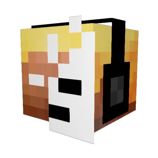 Sam3254 Minecraft avatar head, 3D render