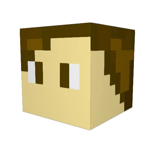 Sam8196 Minecraft avatar head, 3D render
