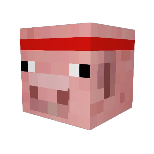 SamBamBam2010 Minecraft avatar head, 3D render