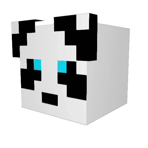 SamBeech2310 Minecraft avatar head, 3D render
