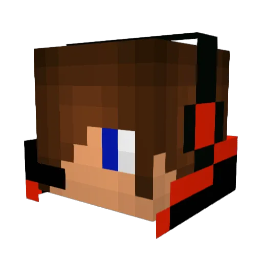 SamCraft113 Minecraft avatar head, 3D render