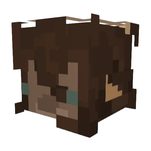 SamDam1 Minecraft avatar head, 3D render